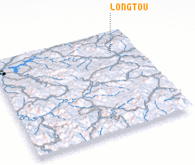3d view of Longtou