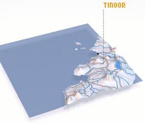 3d view of Tinoor