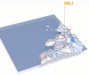 3d view of Kali