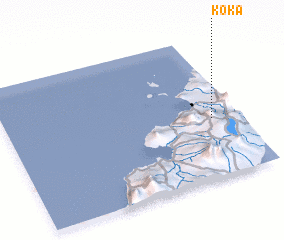 3d view of Koka