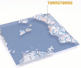 3d view of Tamingtaming