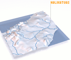 3d view of Halikatuas