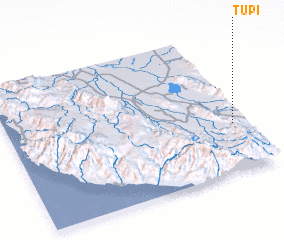 3d view of Tupi