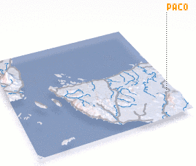 3d view of Paco