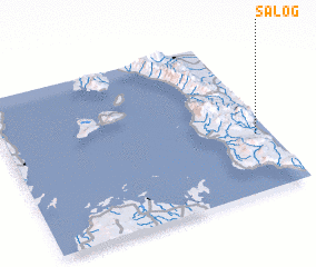 3d view of Salog