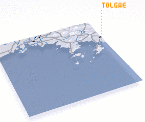 3d view of Tolgae