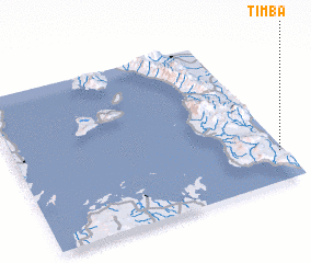 3d view of Timba