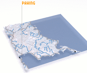 3d view of Pawing