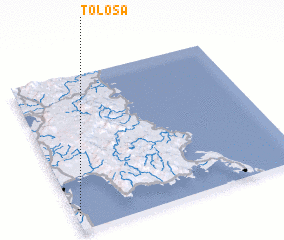 3d view of Tolosa