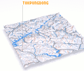 3d view of Tŏkp\