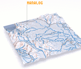 3d view of Manalog