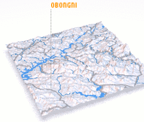 3d view of Obong-ni