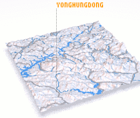 3d view of Yonghŭng-dong