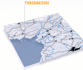 3d view of Tongnaeso-ri