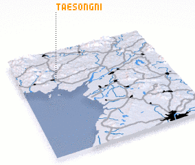 3d view of Taesong-ni
