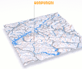 3d view of Wŏnp\