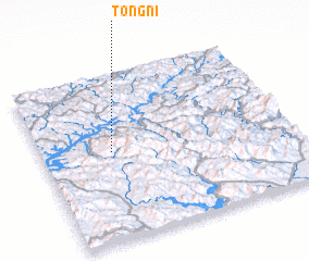 3d view of Tŏng-ni