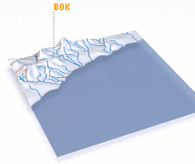 3d view of Bok