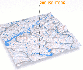 3d view of Paeksŏk-tong