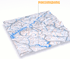 3d view of Poksong-dong