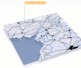 3d view of Yongp\