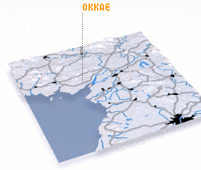 3d view of Okkae