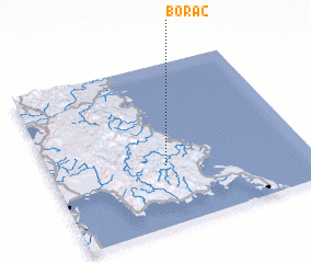 3d view of Borac