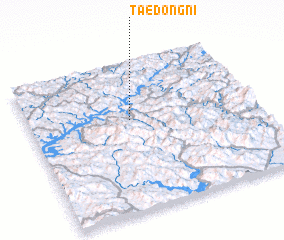 3d view of Taedong-ni