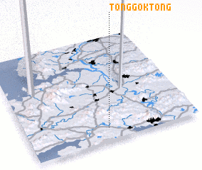 3d view of Tonggok-tong