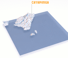 3d view of Cayaponga