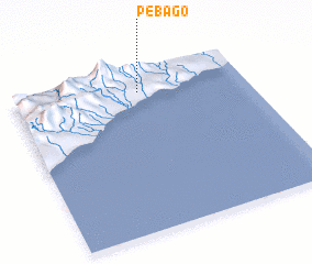 3d view of Pebago