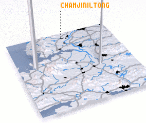 3d view of Chamjinil-tong