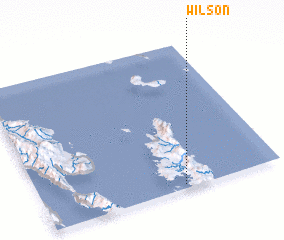 3d view of Wilson