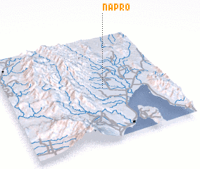 3d view of Napro