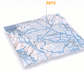 3d view of Nato