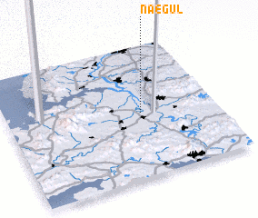 3d view of Naegul