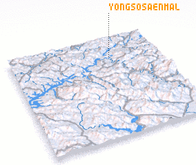 3d view of Yongsŏsaenmal