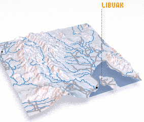 3d view of Libuak