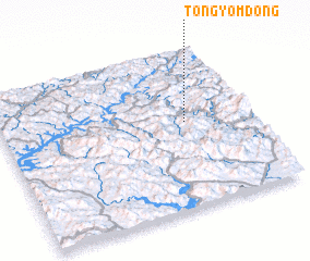 3d view of Tongyŏm-dong