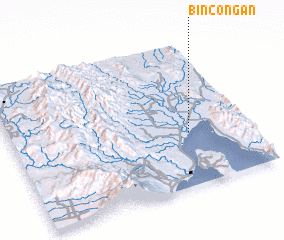 3d view of Bincoñgan