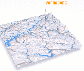 3d view of Yŏnha-dong