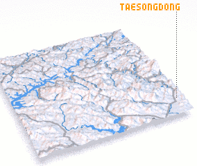 3d view of Taesŏng-dong