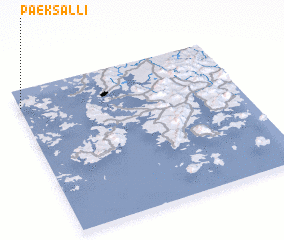 3d view of Paeksal-li