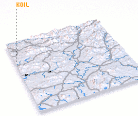 3d view of Koil