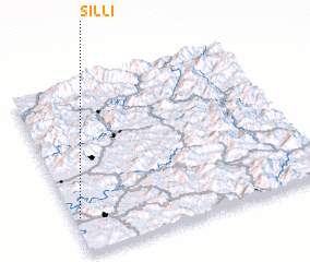 3d view of Sil-li