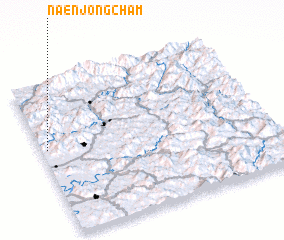 3d view of Naenjŏngcha\