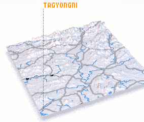 3d view of T\