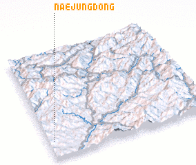 3d view of Naejung-dong