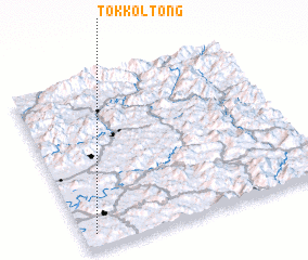 3d view of Tokkol-tong