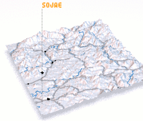 3d view of Sojae